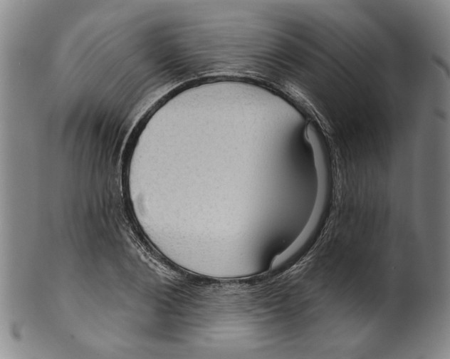 X0000099420884200806060952