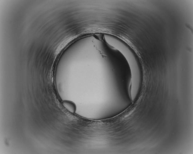 X0000099420885200806060952