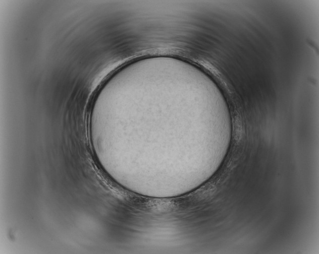 X0000099420886200806060952