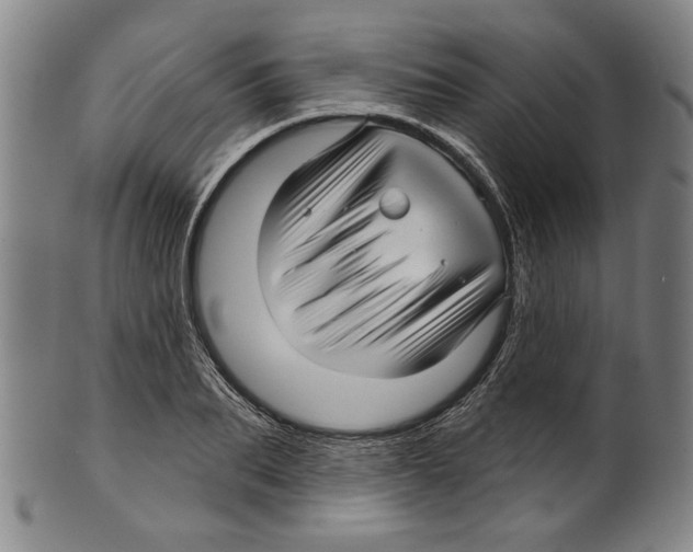 X0000099420887200806060952