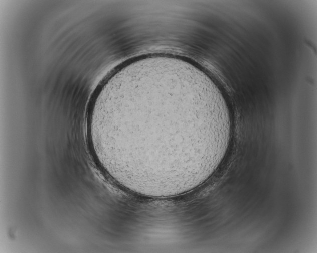 X0000099420888200806060952