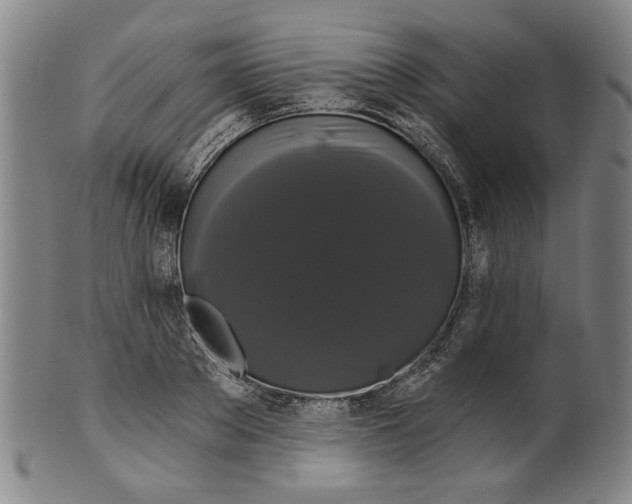 X0000099420889200806060952