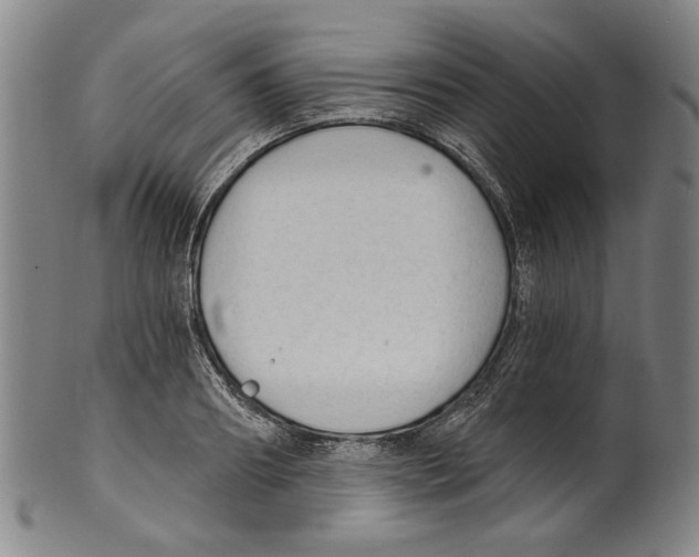 X0000099420890200806060952