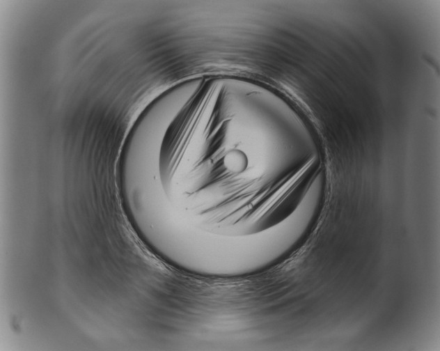 X0000099420891200806060952
