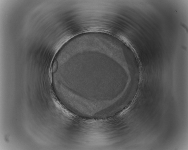 X0000099420892200806060952