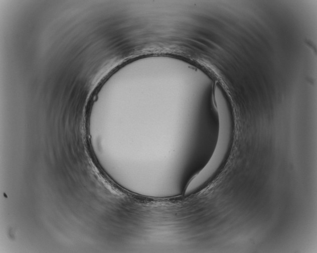 X0000099420894200806060952