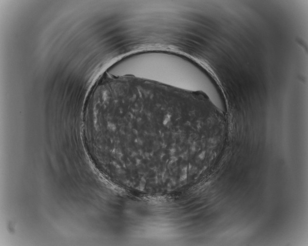 X0000099420895200806060952