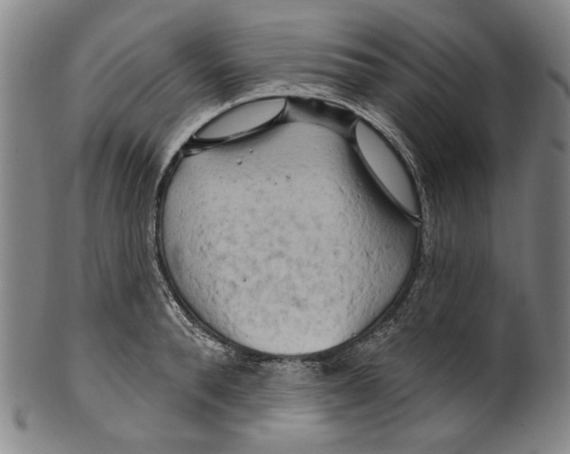 X0000099420896200806060952