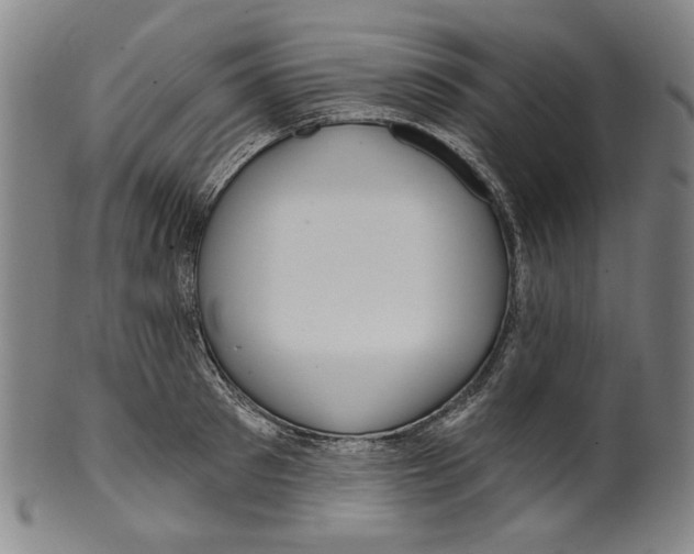 X0000099420897200806060952