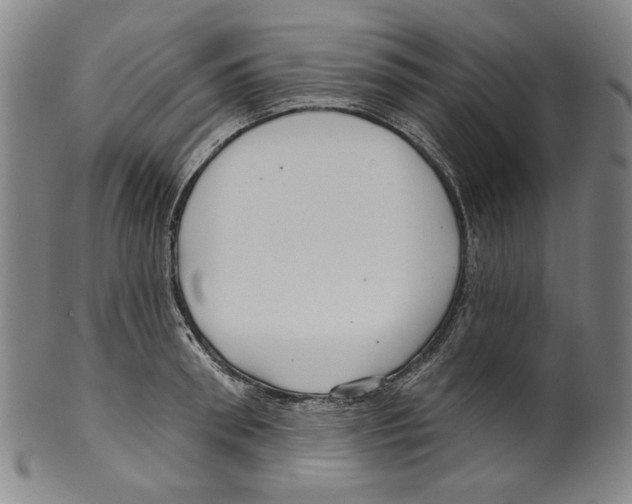 X0000099420898200806060952