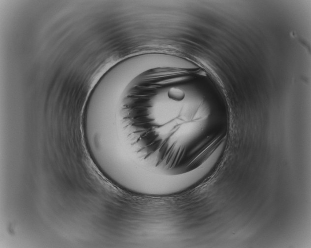 X0000099420899200806060952