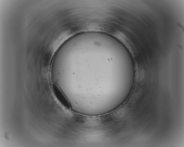 X0000099420901200806060952