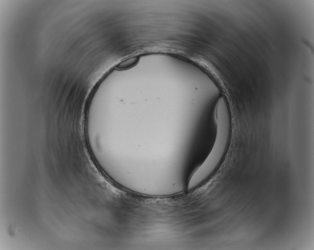 X0000099420902200806060952