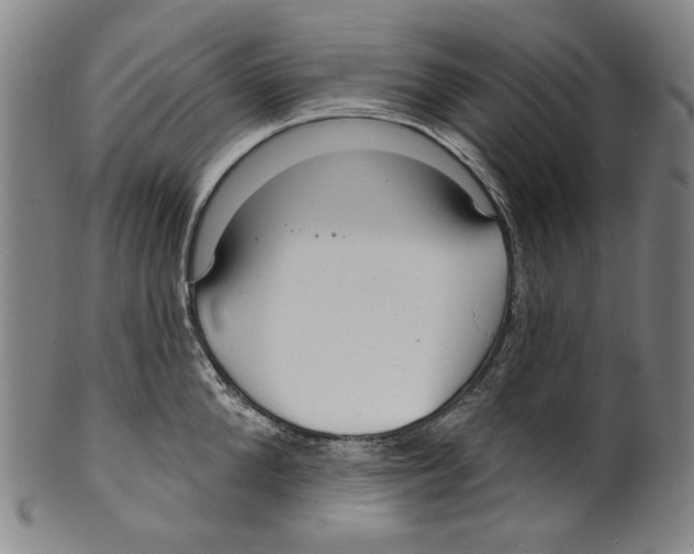 X0000099420904200806060952