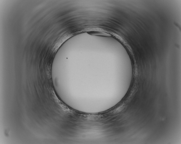 X0000099420905200806060952