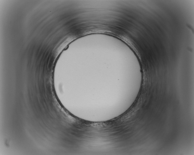 X0000099420906200806060952