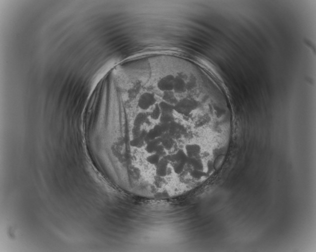 X0000099420907200806060952
