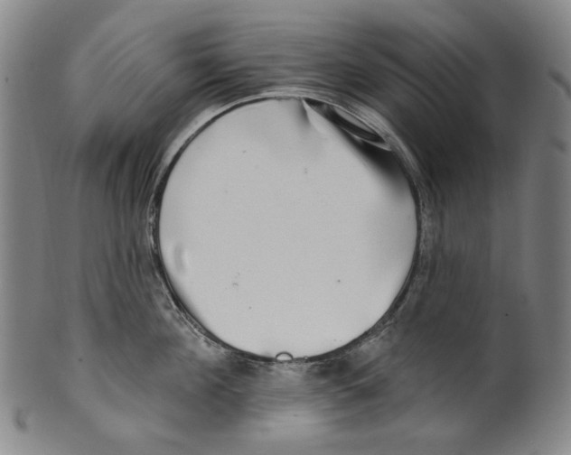 X0000099420908200806060952