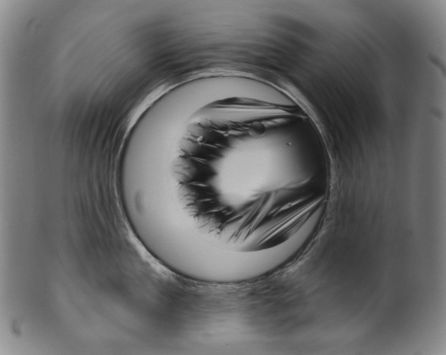 X0000099420909200806060952