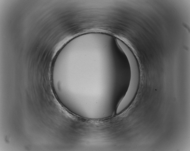 X0000099420910200806060952