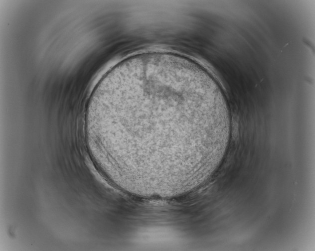 X0000099420911200806060952