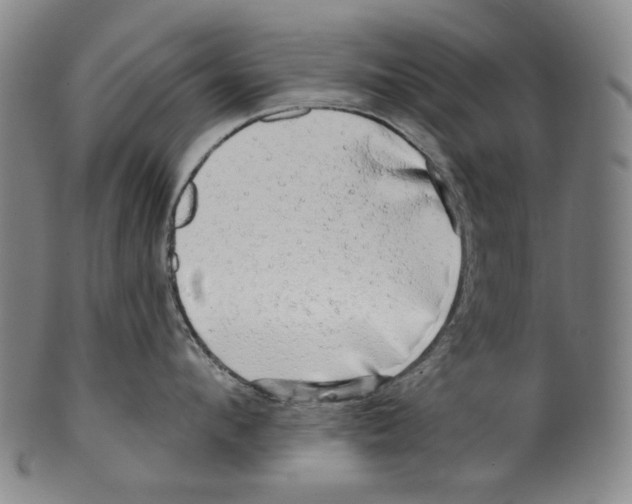 X0000099420912200806060952