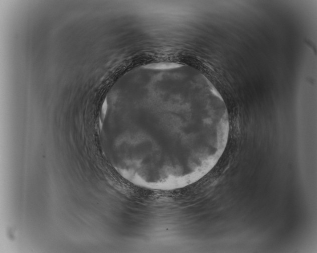 X0000099420913200806060951