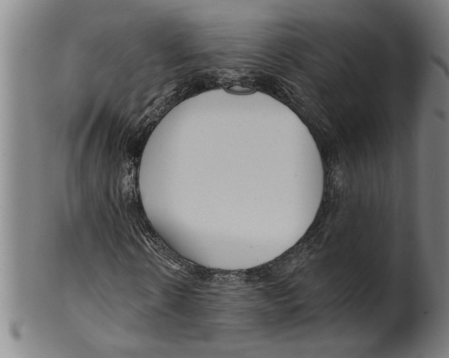 X0000099420914200806060951