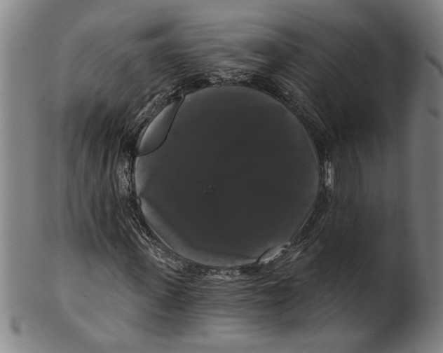 X0000099420915200806060951