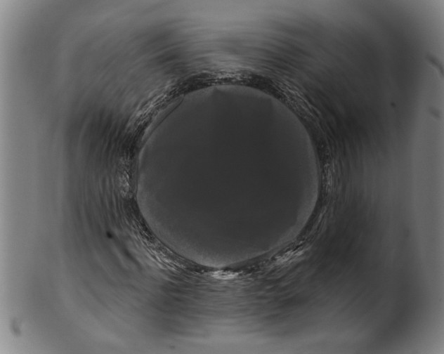 X0000099420916200806060951