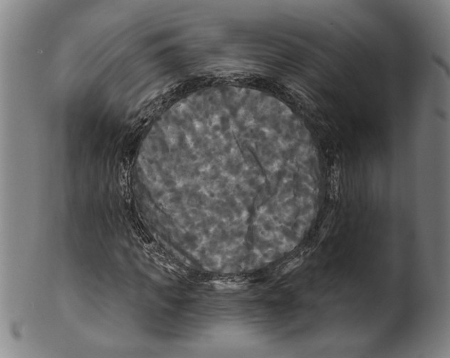 X0000099420917200806060951