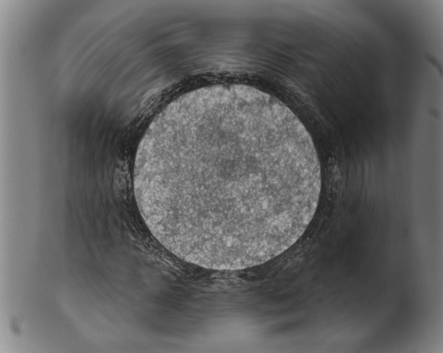X0000099420918200806060951