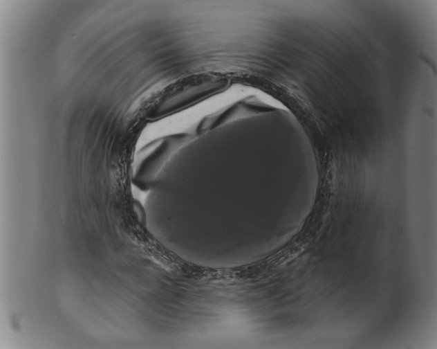 X0000099420920200806060951