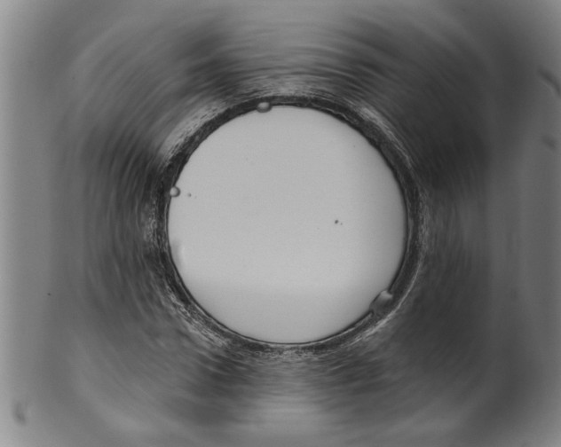 X0000099420922200806060951