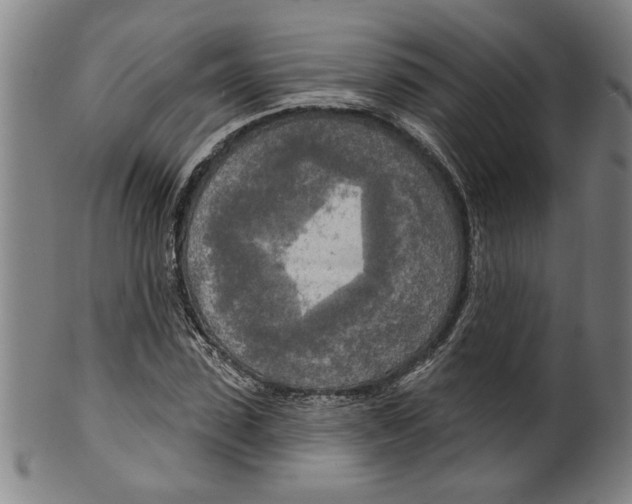 X0000099420923200806060951