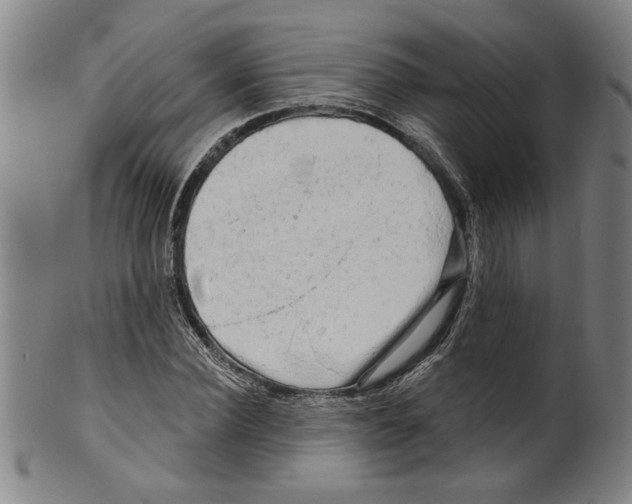 X0000099420924200806060951