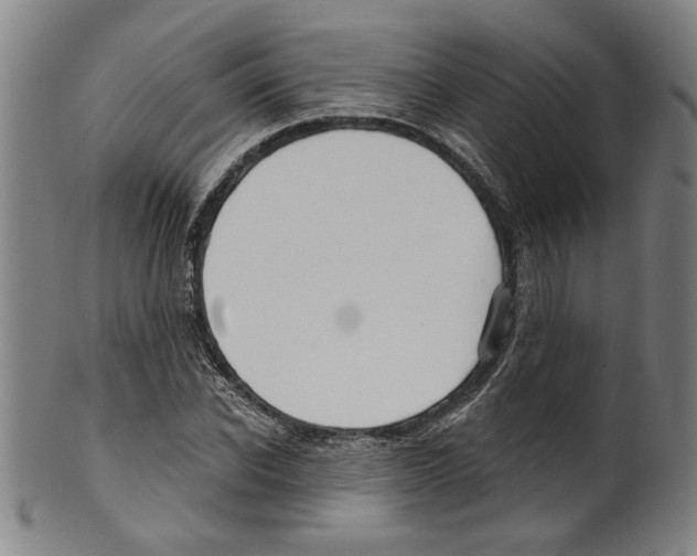X0000099420926200806060951