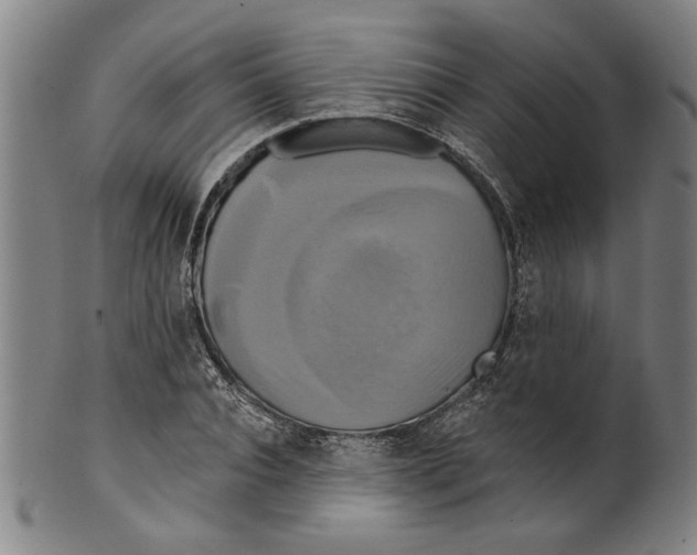 X0000099420928200806060951