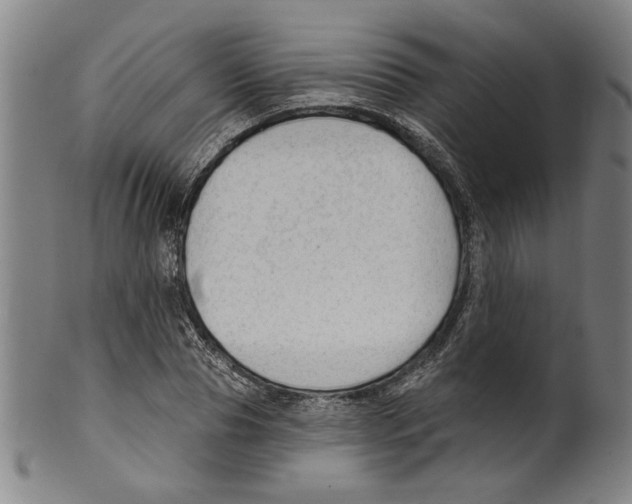 X0000099420929200806060951