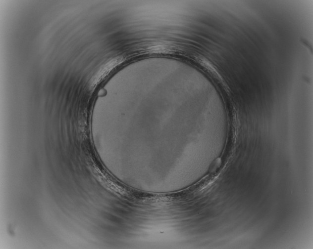 X0000099420930200806060951