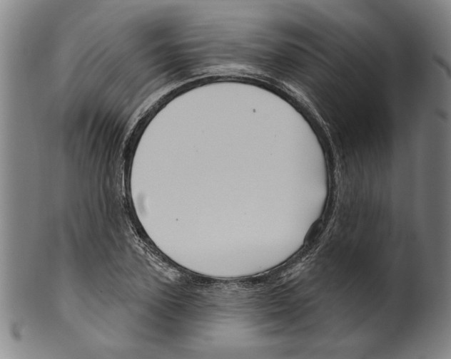 X0000099420931200806060951