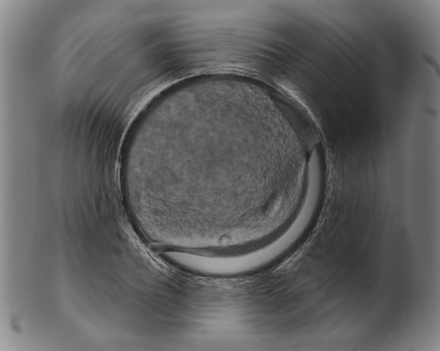 X0000099420932200806060952