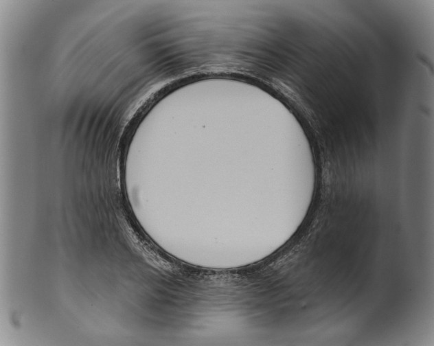 X0000099420934200806060952