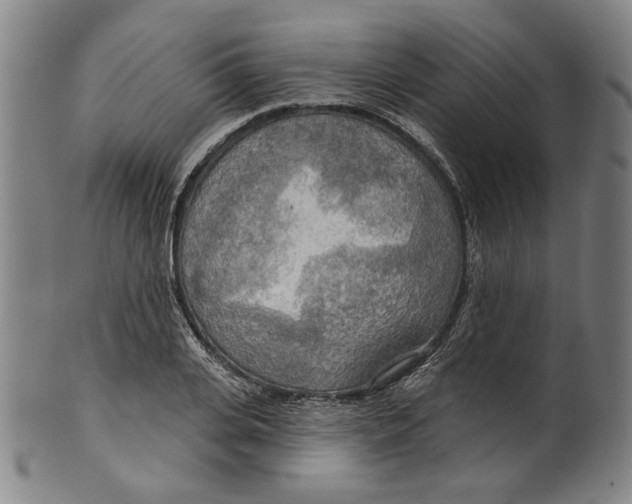 X0000099420935200806060952