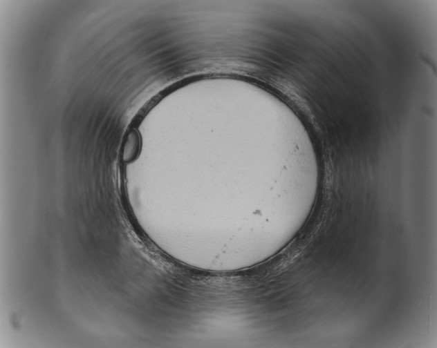 X0000099420936200806060952