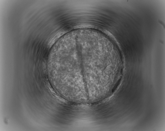 X0000099420937200806060952