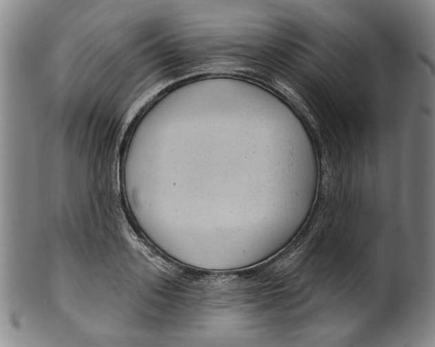 X0000099420939200806060952