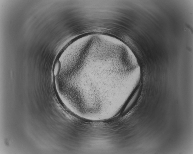 X0000099420940200806060952