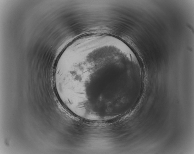 X0000099420941200806060952