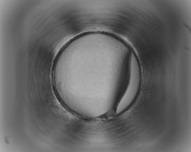 X0000099420943200806060952